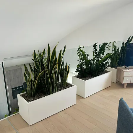 Luxury Terrazza